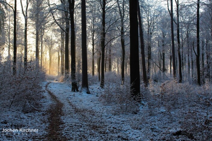 Wintertraum - Canon EOS 700D - Geiselbach, Landschaft, Schnee, Winter